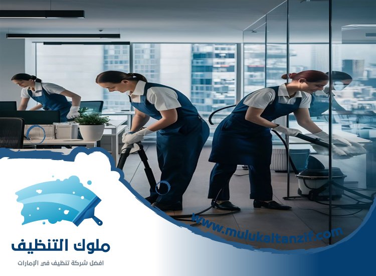 شركة تنظيف