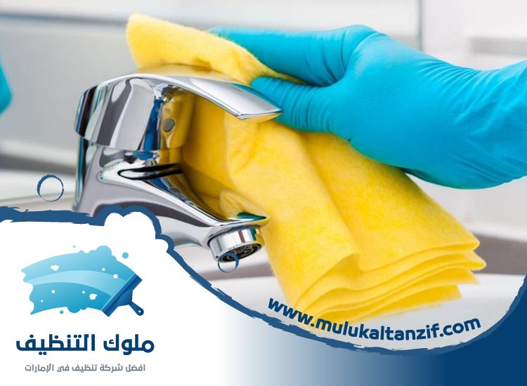  شركة تنظيف في جراند فيوز
