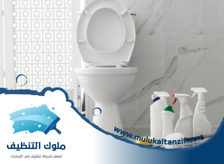 شركة تنظيف