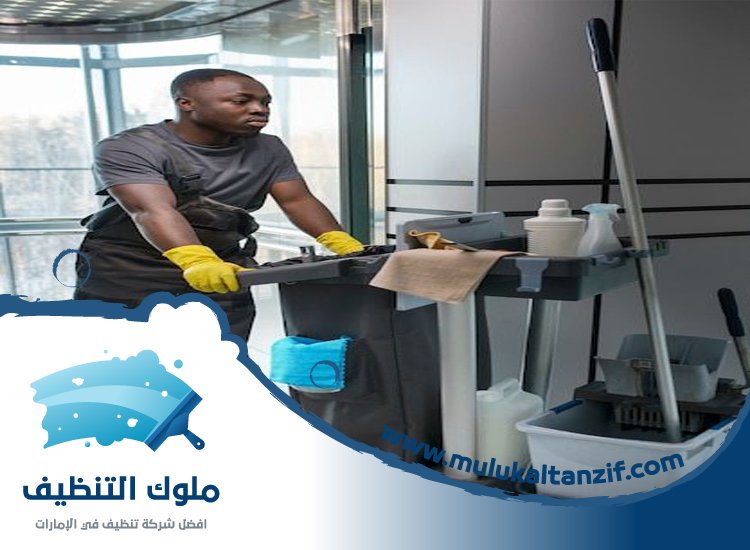 شركة تنظيف