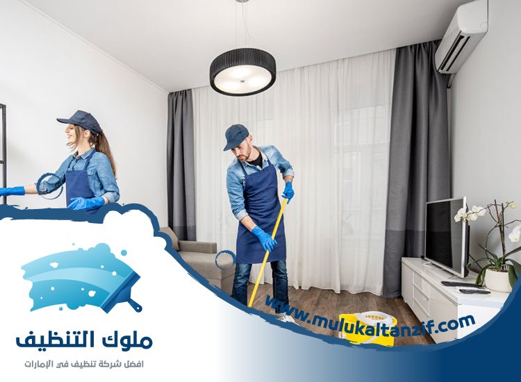 شركة تنظيف في بالميرا