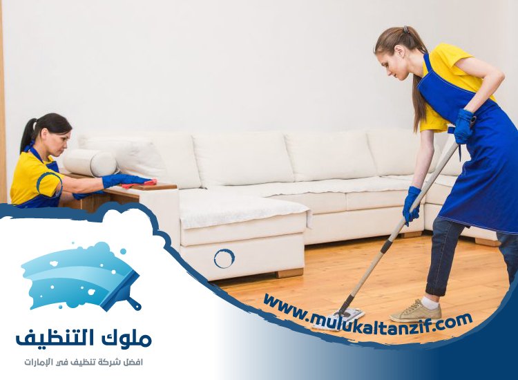 شركة تنظيف