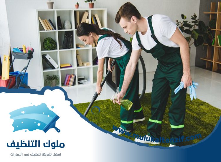 شركة تنظيف