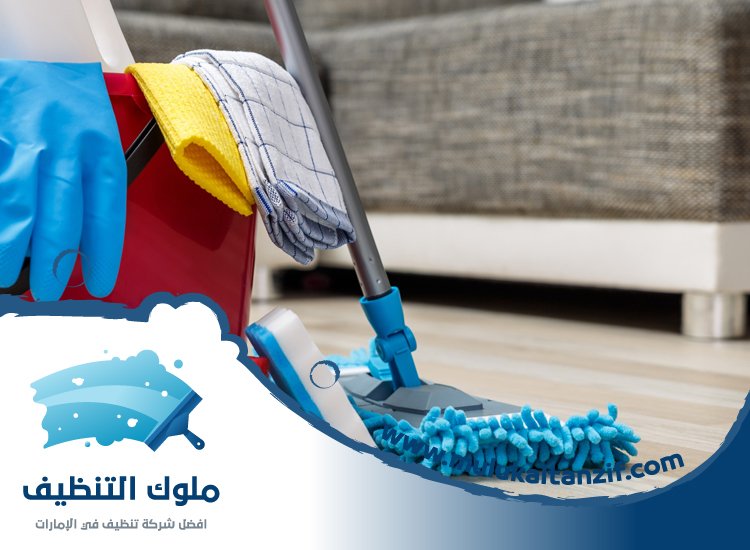 شركة تنظيف