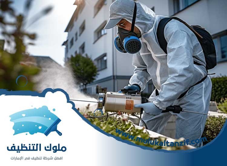 شركة مكافحة حشرات في قرية المنارة