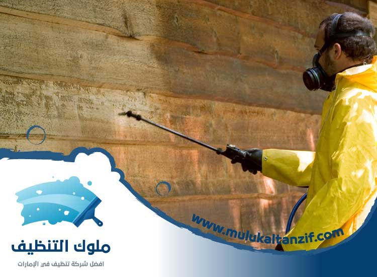 شركة مكافحة حشرات في الرحيب