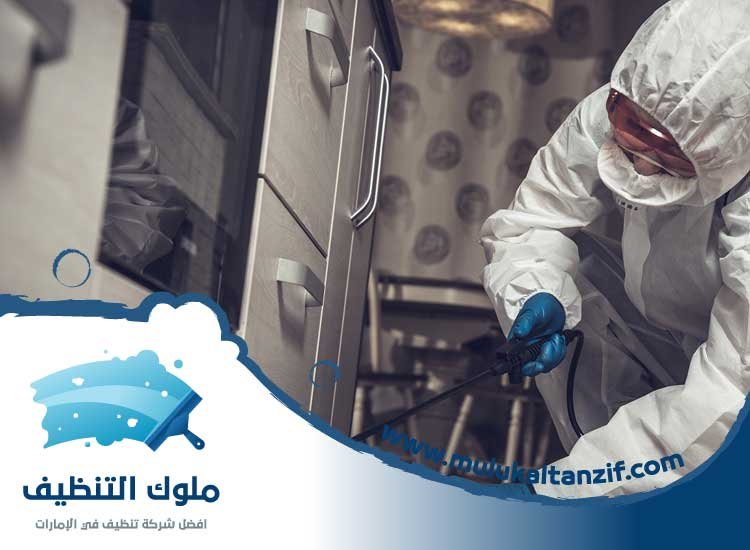 مكافحة حشرات