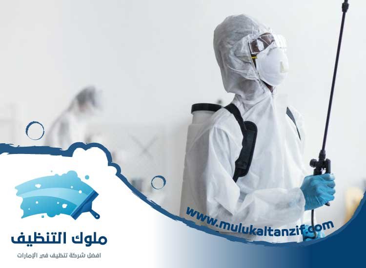 مكافحة حشرات