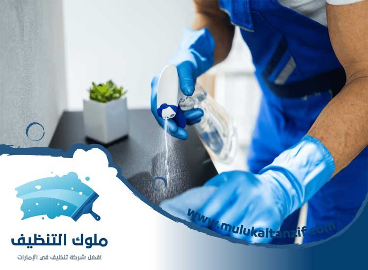 شركة تنظيف