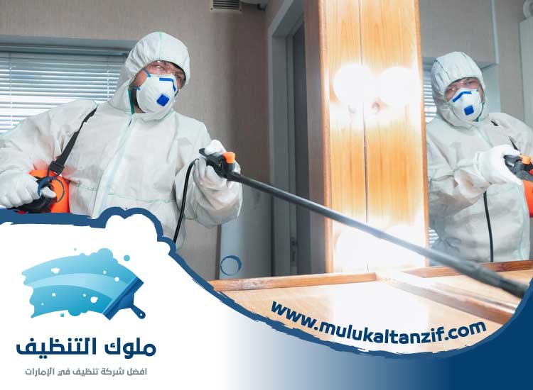مكافحة حشرات