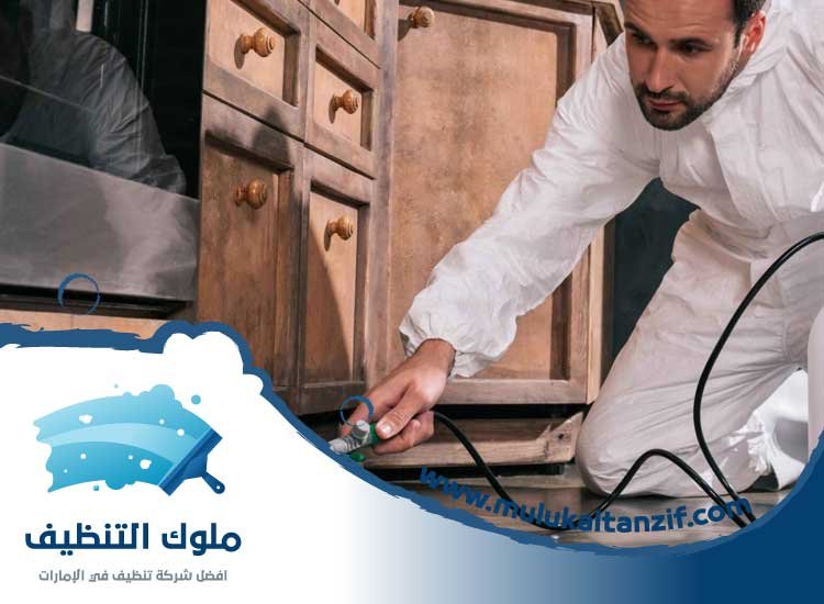 شركة مكافحة حشرات في السوق الكبير
