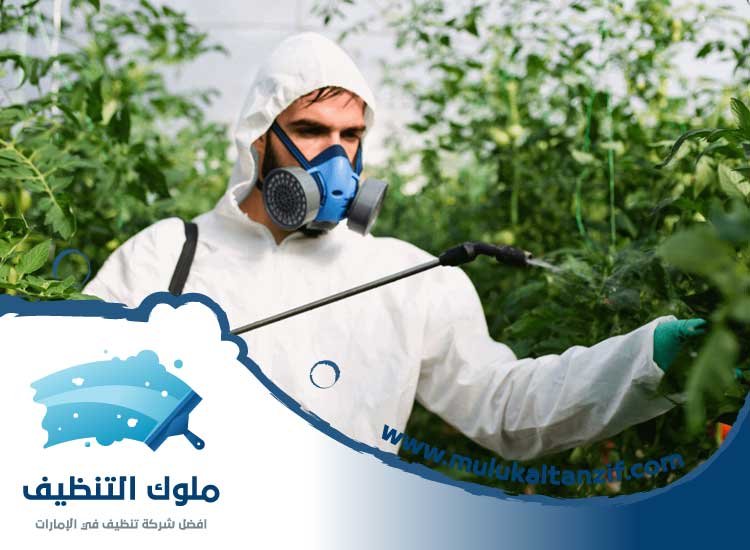مكافحة حشرات