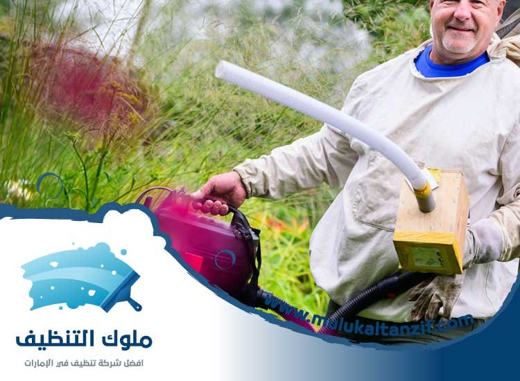 مكافحة حشرات