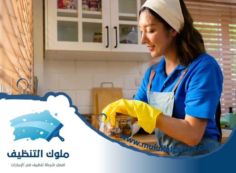 شركة تنظيف