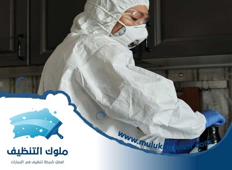 مكافحة حشرات