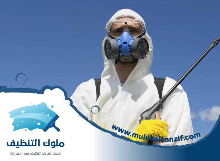 شركة مكافحة حشرات في ريم