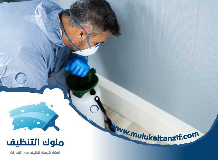 شركة مكافحة حشرات في قرية المنارة