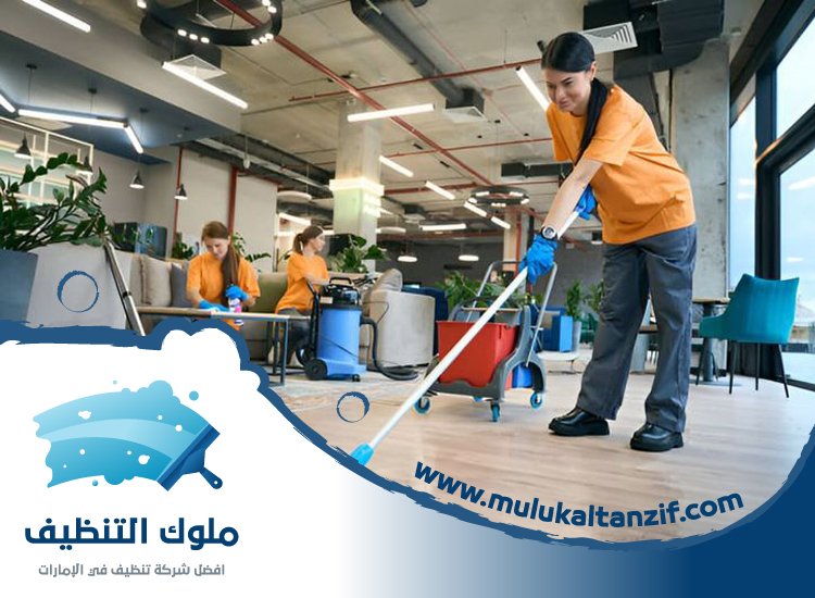 شركة تنظيف في السهول