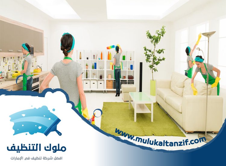 شركة تنظيف