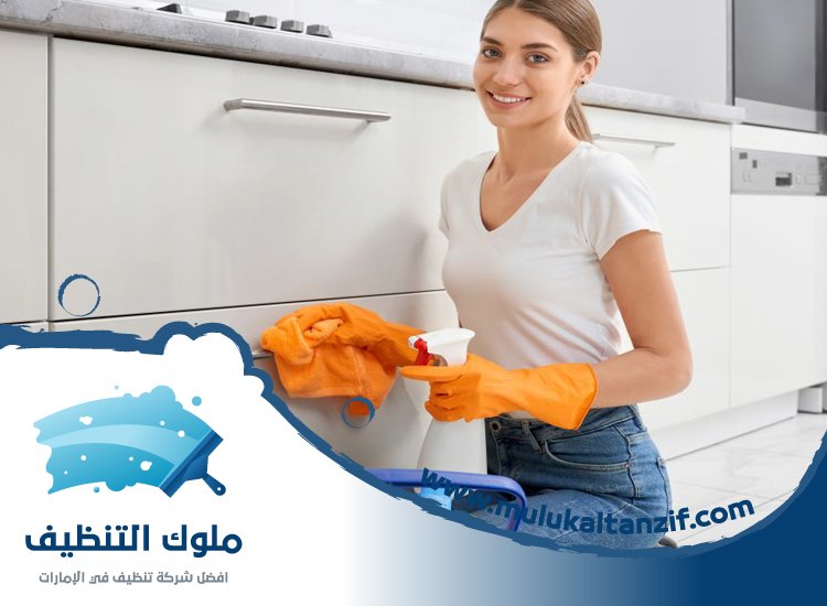 شركة تنظيف بالواديين