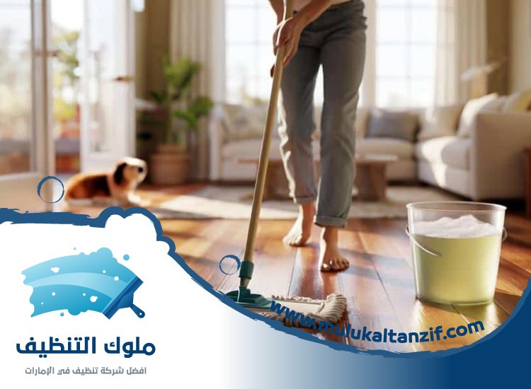 شركة تنظيف شقق في عجمان