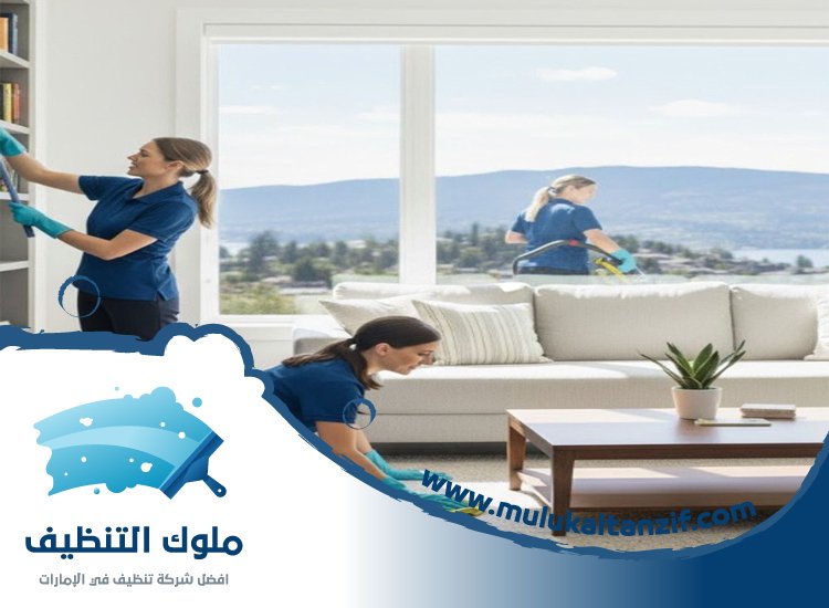 شركة تنظيف في الحمرية