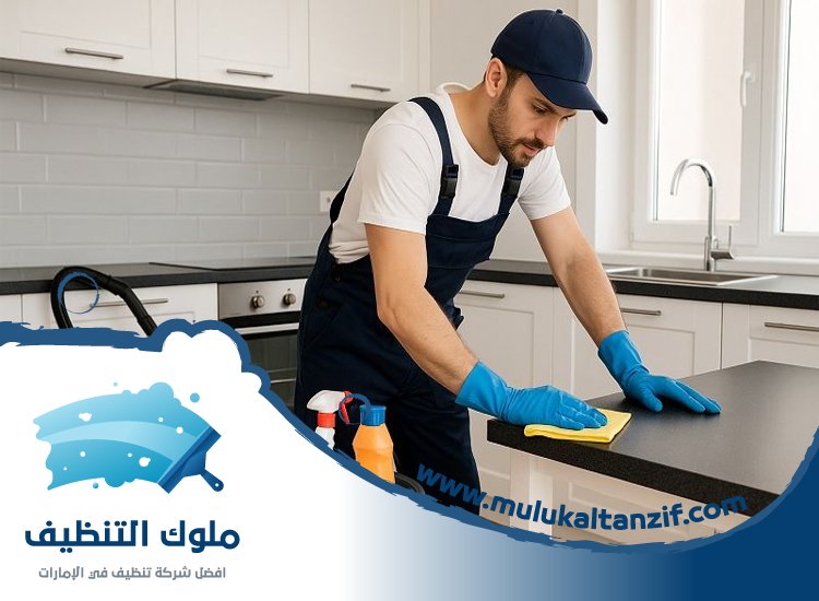 شركة تنظيف في الليسيلي