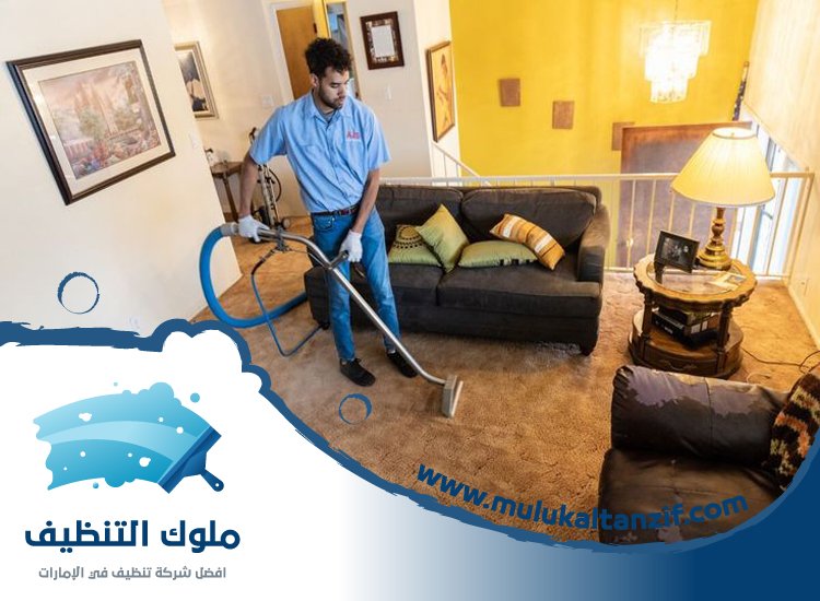 شركة تنظيف في مردف