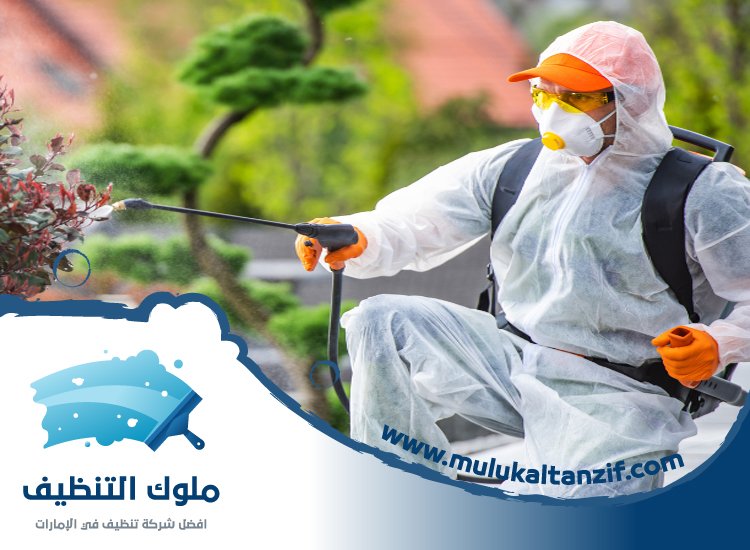 مكافحة حشرات