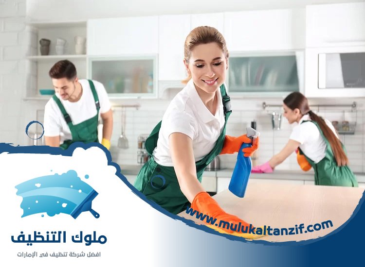 شركة تنظيف