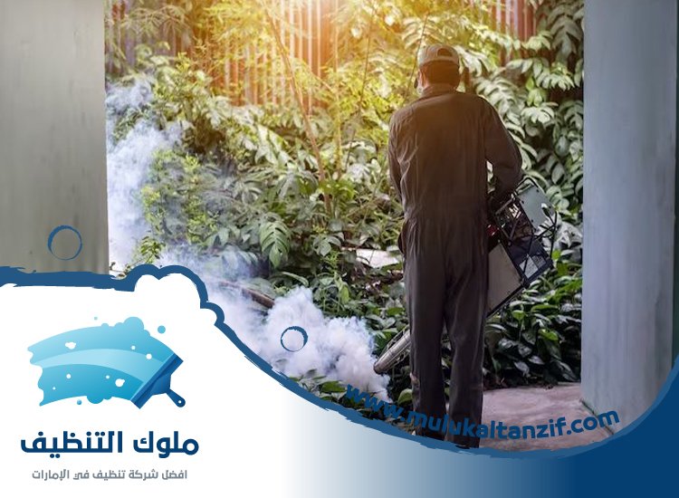 شركة مكافحة حشرات في دبي