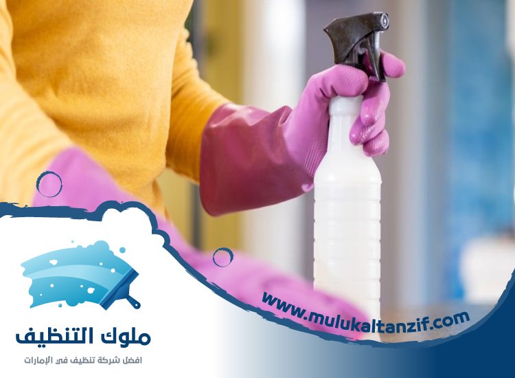 شركة تنظيف فلل في الشارقة