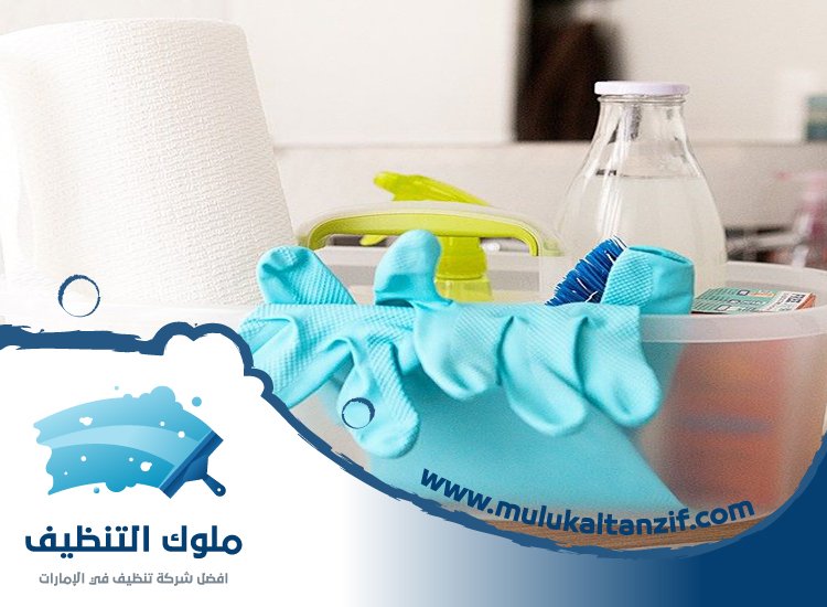 شركة تنظيف فلل في دبي