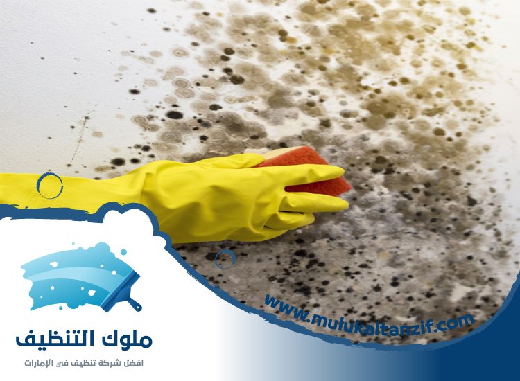 شركة تنظيف حوائط في دبي