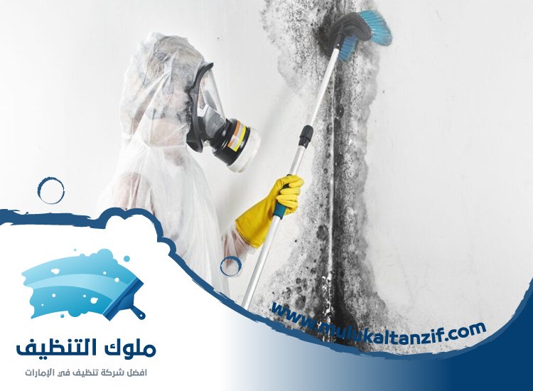 شركة تنظيف حوائط في دبي