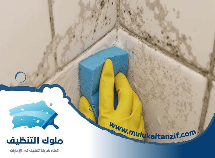 شركة تنظيف حوائط في الشارقة