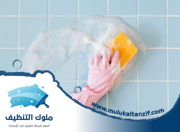 شركة تنظيف حوائط في الشارقة