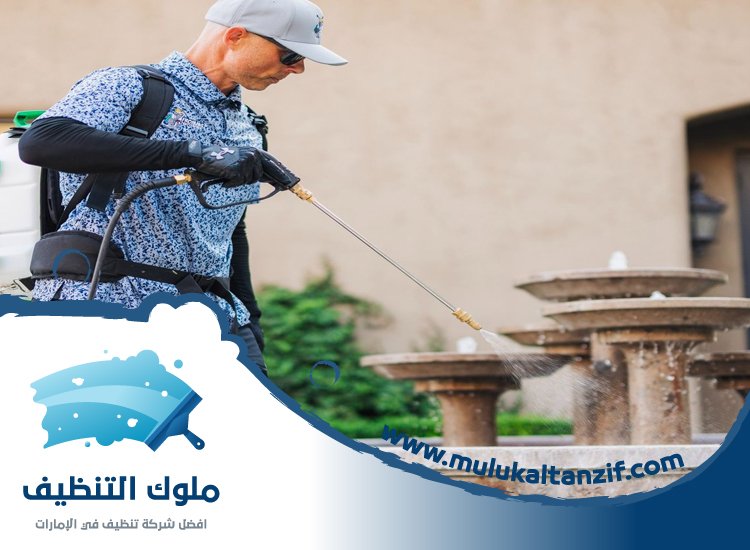 شركة مكافحة حشرات في الشارقة