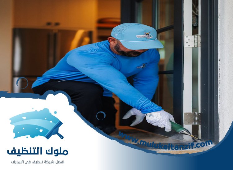 شركة مكافحة حشرات في الشارقة