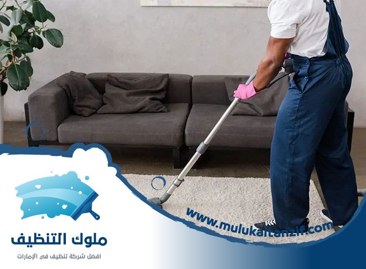 شركة تنظيف في المنيعي