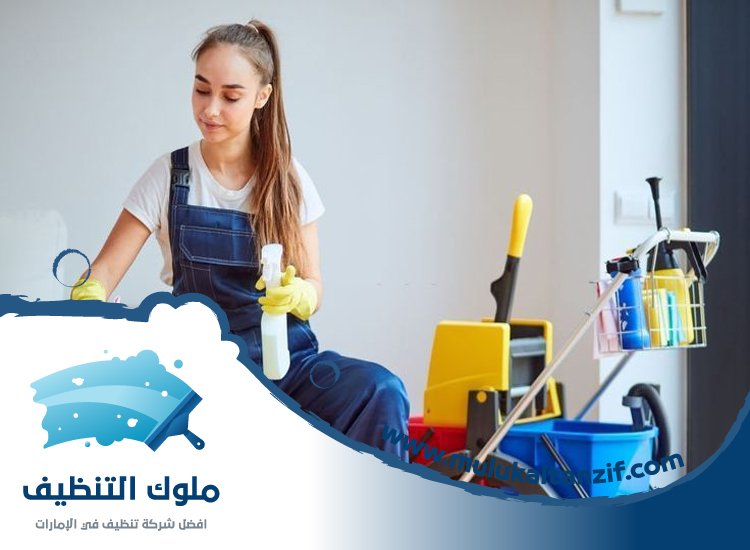 شركة تنظيف في الرميلة