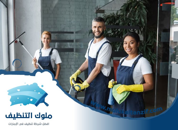 شركة تنظيف في الرميلة
