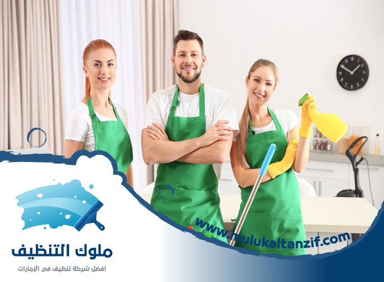 شركة تنظيف