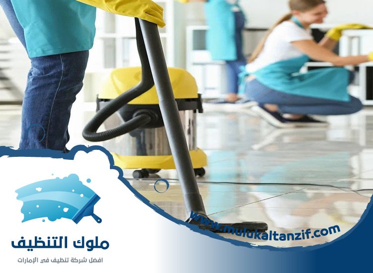 شركة تنظيف في السهول