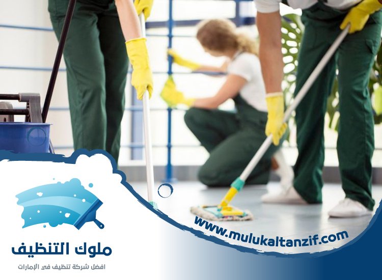 شركة تنظيف في مشيرف