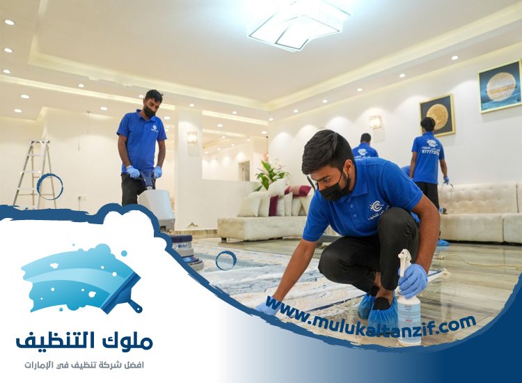 شركة تنظيف في الوصل