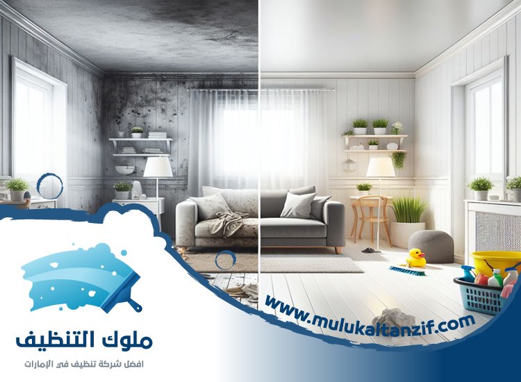شركة تنظيف في ريم