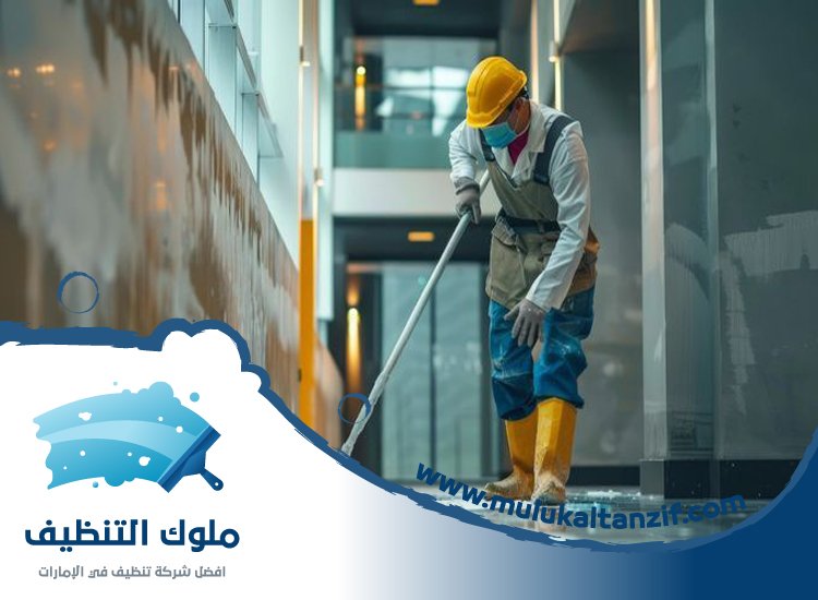 شركة تنظيف شقق في بالميرا
