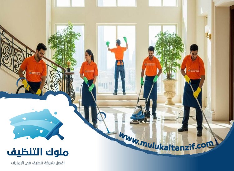 شركة تنظيف في النعيمية