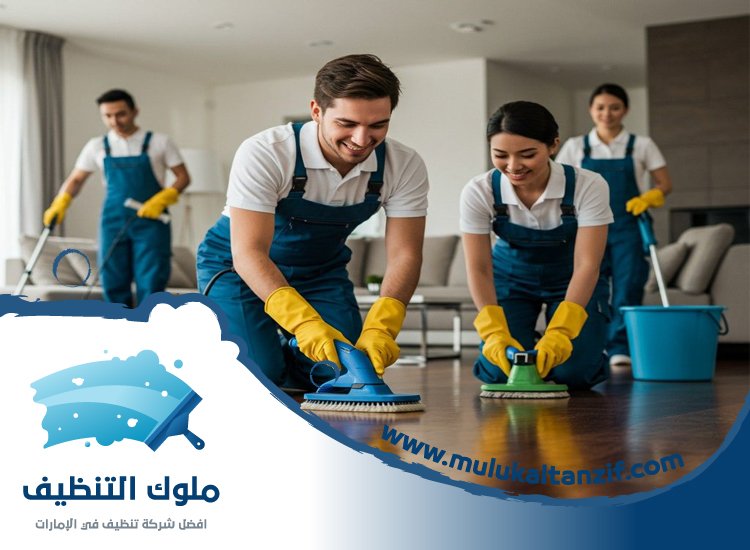 شركة تنظيف في الضاحية